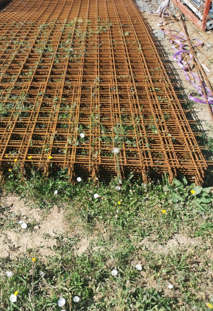 Grille de fer à béton et herbes. 